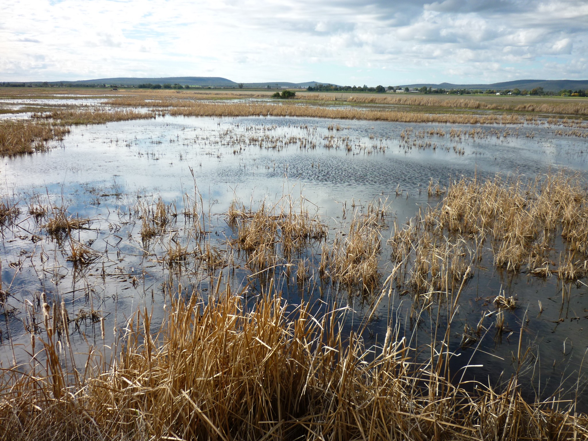 Fivebough & Tuckerbil Wetlands